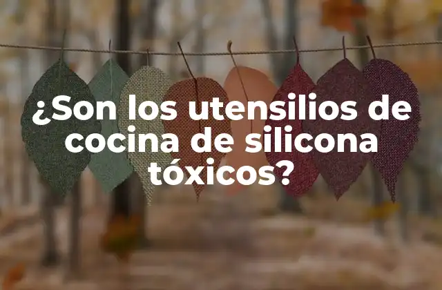 ¿son los Utensilios de Cocina de Silicona Tóxicos?