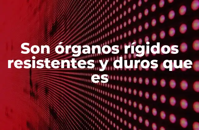 Son Órganos Rígidos Resistentes y Duros que es