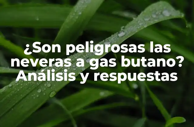 ¿son Peligrosas las Neveras a Gas Butano? Análisis y Respuestas