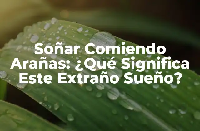 Soñar Comiendo Arañas: ¿qué Significa Este Extraño Sueño?