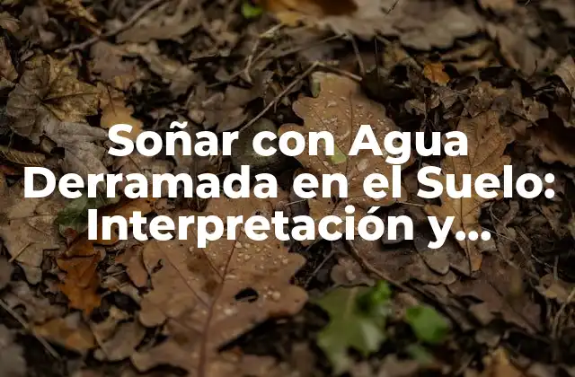 Soñar con Agua Derramada en el Suelo: Interpretación y Significado 2 El Poder del Agua en los Sueños