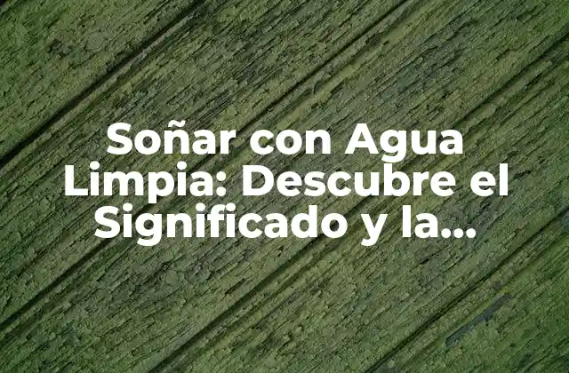 Soñar con Agua Limpia: Descubre el Significado y la Interpretación Del Sueño