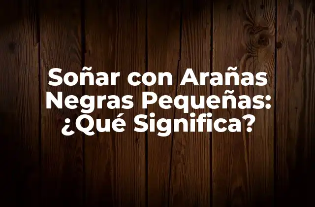 Soñar con Arañas Negras Pequeñas: ¿qué Significa?