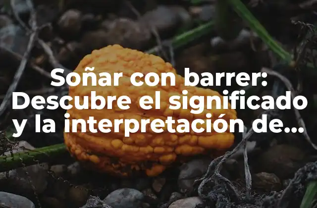 Soñar con Barrer: Descubre el Significado y la Interpretación de Este Sueño Común
