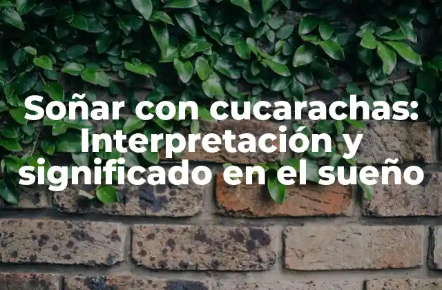 Soñar con Cucarachas: Interpretación y Significado en el Sueño 2 ¿Qué significa soñar con cucarachas en general?