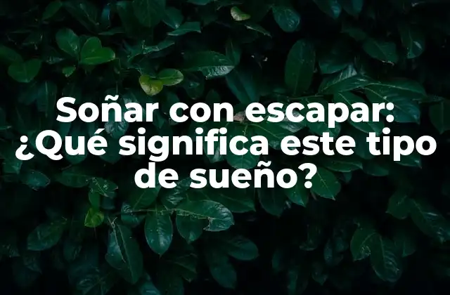 Soñar con Escapar: ¿qué Significa Este Tipo de Sueño?