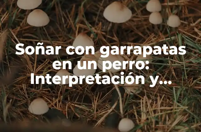 Soñar con Garrapatas en un Perro: Interpretación y Significado