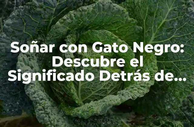 Soñar con Gato Negro: Descubre el Significado Detrás de Tus Sueños