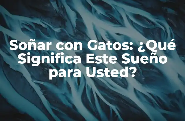 Soñar con Gatos: ¿qué Significa Este Sueño para Usted? 2 El Simbolismo de los Gatos en los Sueños