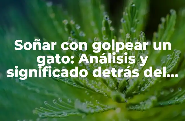 Soñar con Golpear un Gato: Análisis y Significado Detrás Del Sueño