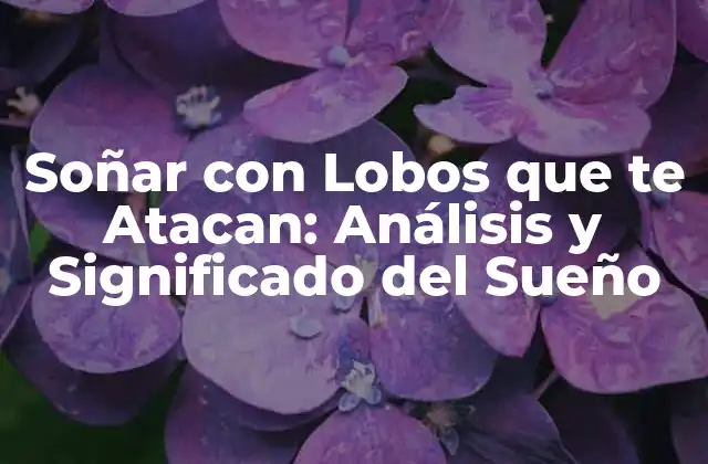 Soñar con Lobos que Te Atacan: Análisis y Significado Del Sueño