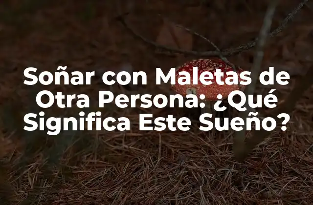 Soñar con Maletas de Otra Persona: ¿qué Significa Este Sueño?
