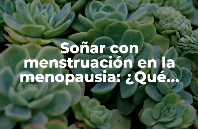La menopausia y el ciclo menstrual