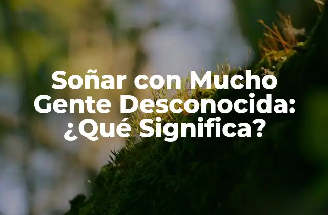 Soñar con Mucho Gente Desconocida: ¿qué Significa?