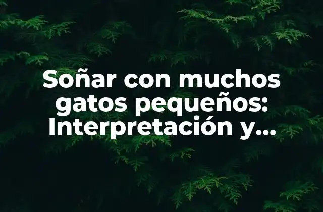 Soñar con Muchos Gatos Pequeños: Interpretación y Significado Onírico