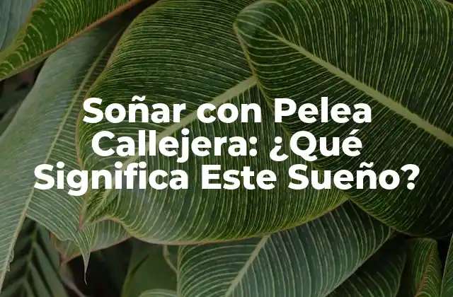 ¿Qué Provoca Soñar con Pelea Callejera?