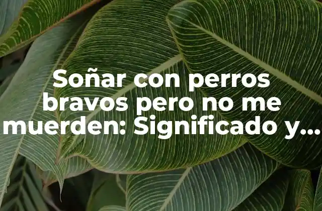 Soñar con Perros Bravos pero No Me Muerden: Significado y Interpretación