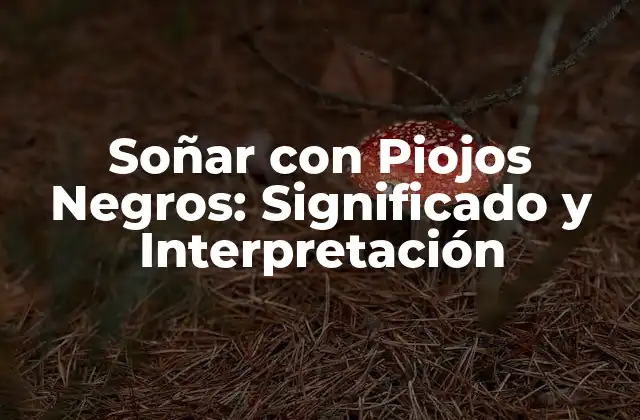 Soñar con Piojos Negros: Significado y Interpretación 2 El Simbolismo de los Piojos en los Sueños