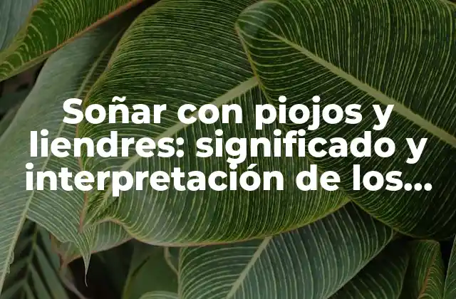 Soñar con Piojos y Liendres: Significado y Interpretación de los Insectos en los Sueños