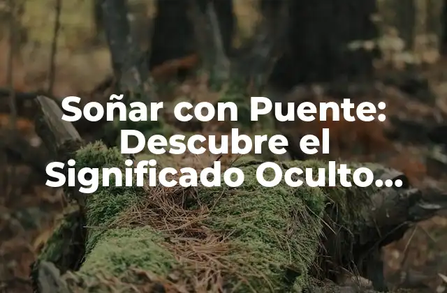 Soñar con Puente: Descubre el Significado Oculto Detrás de Tus Sueños