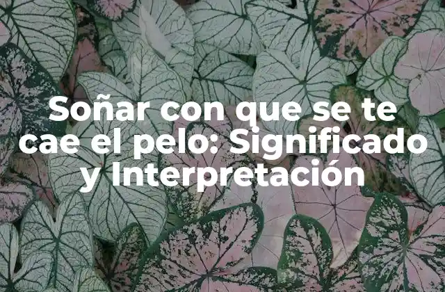 Soñar con que Se Te Cae el Pelo: Significado y Interpretación