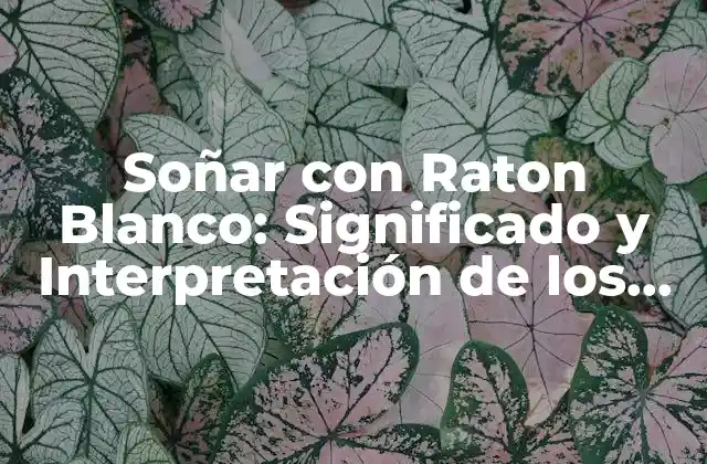 Soñar con Raton Blanco: Significado y Interpretación de los Sueños 2 El Simbolismo del Raton Blanco en los Sueños