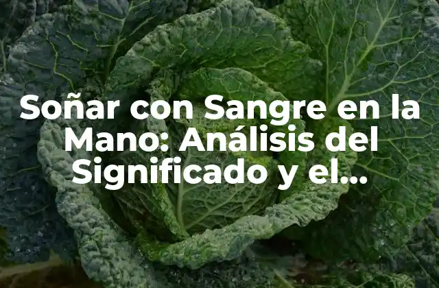 Soñar con Sangre en la Mano: Análisis Del Significado y el Impacto Emocional