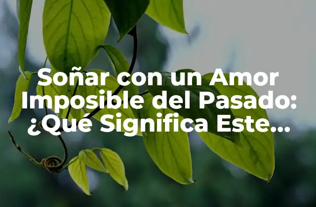 Soñar con un Amor Imposible Del Pasado: ¿qué Significa Este Sueño? 2 La Psicología detrás de Soñar con un Amor Imposible del Pasado