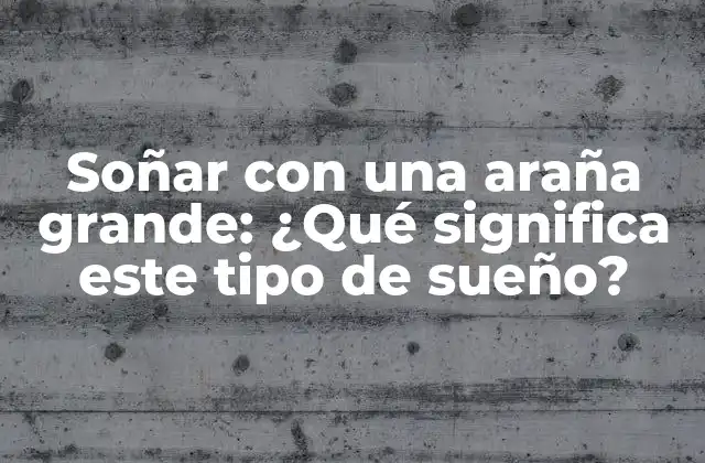 Soñar con una Araña Grande: ¿qué Significa Este Tipo de Sueño?