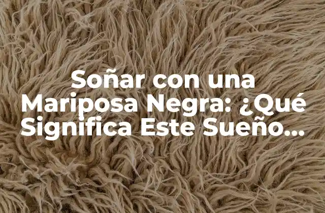 Soñar con una Mariposa Negra: ¿qué Significa Este Sueño Inquietante?
