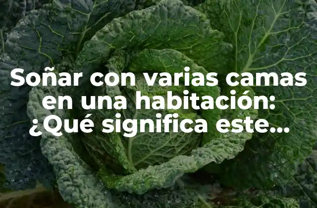 Soñar con Varias Camas en una Habitación: ¿qué Significa Este Extraño Sueño? 2 El simbolismo de las camas en los sueños