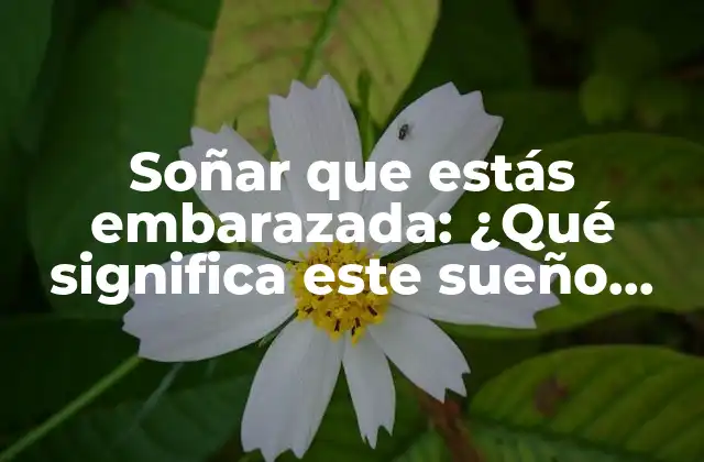 Soñar que Estás Embarazada: ¿qué Significa Este Sueño Común?