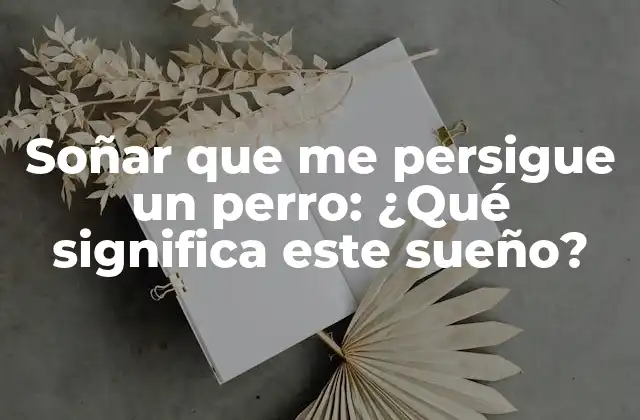 Soñar que Me Persigue un Perro: ¿qué Significa Este Sueño? 2 Análisis del sueño: Soñar que me persigue un perro