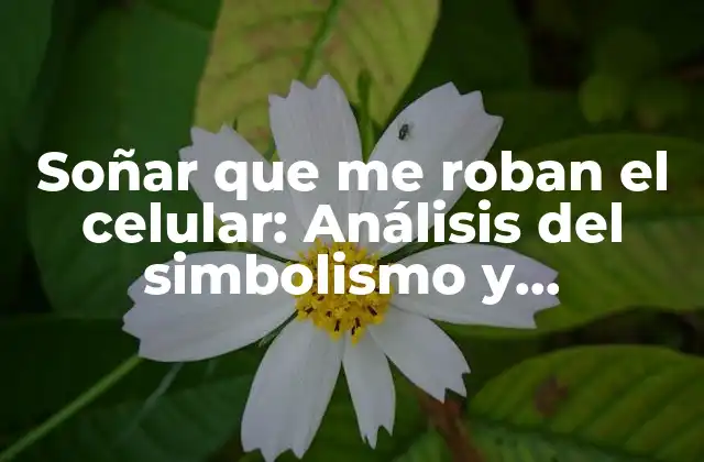Soñar que Me Roban el Celular: Análisis Del Simbolismo y Significado