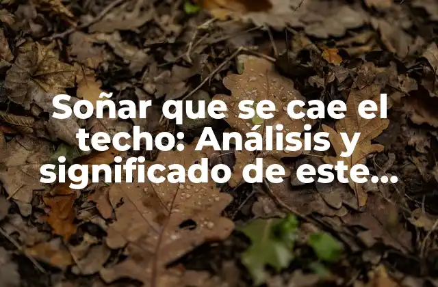 Soñar que Se Cae el Techo: Análisis y Significado de Este Sueño Común