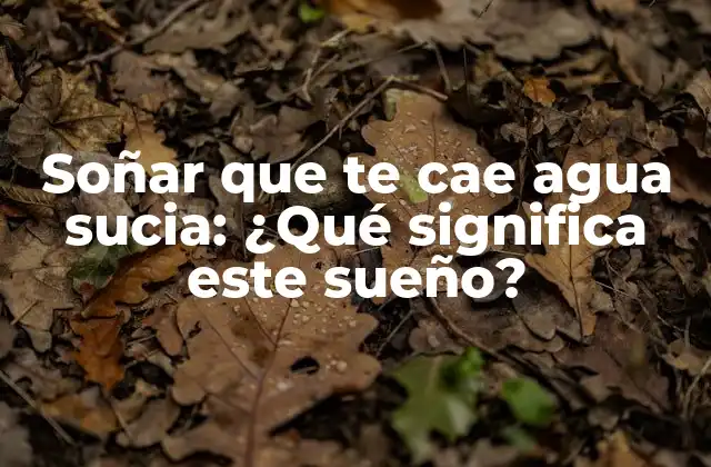 Soñar que Te Cae Agua Sucia: ¿qué Significa Este Sueño? 2 La interpretación psicológica de soñar que te cae agua sucia
