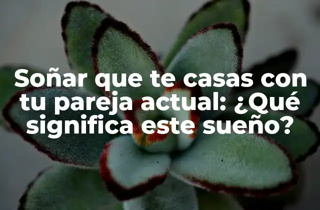 Soñar que Te Casas con Tu Pareja Actual: ¿qué Significa Este Sueño? 2 El significado psicológico de Soñar que te casas con tu pareja actual