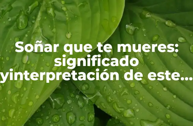 Soñar que Te Mueres: Significado Yinterpretación de Este Tipo de Sueños 2 Orígenes y teorías sobre soñar que te mueres