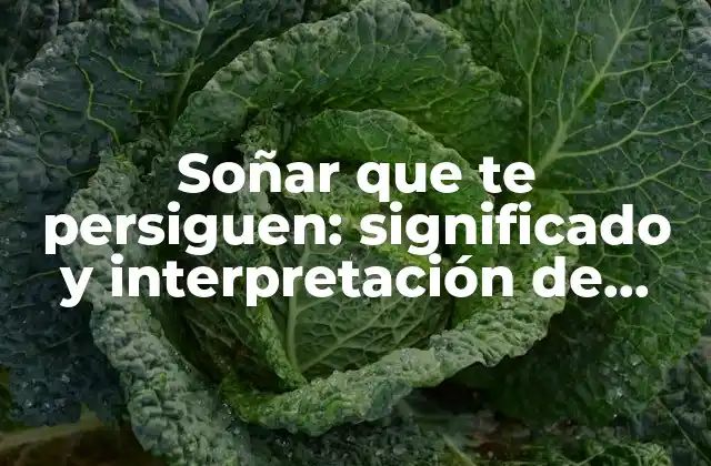 Soñar que Te Persiguen: Significado y Interpretación de Estos Sueños Angustiantes