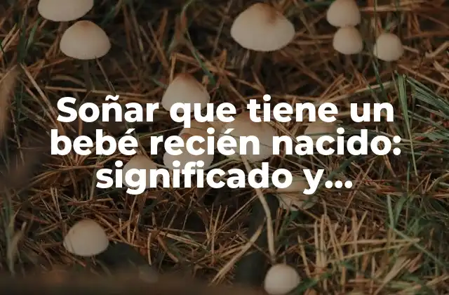Soñar que Tiene un Bebé Recién Nacido: Significado y Interpretación