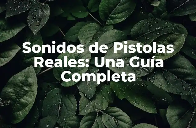 Sonidos de Pistolas Reales: una Guía Completa 2 Tipos de Sonidos de Pistolas Reales