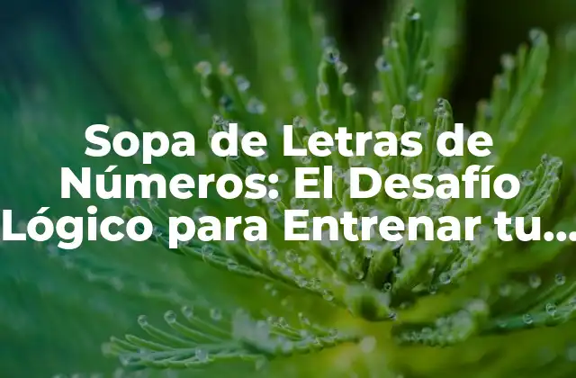 ¿Cuál es la Origen de la Sopa de Letras de Números?