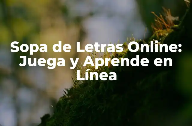 Sopa de Letras Online: Juega y Aprende en Línea