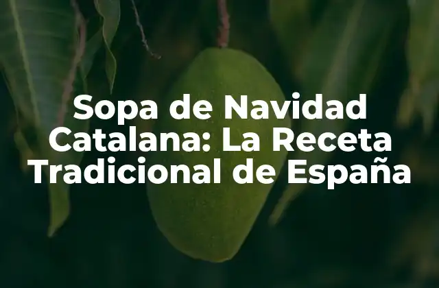 Orígenes de la Sopa de Navidad Catalana