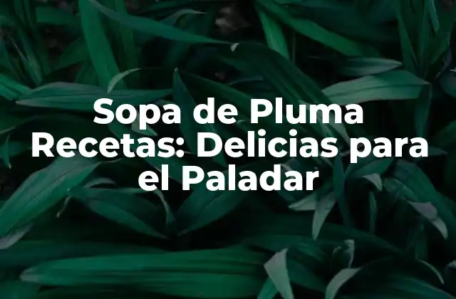 Sopa de Pluma Recetas: Delicias para el Paladar