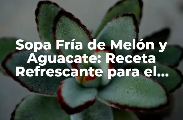 Sopa Fría de Melón y Aguacate: Receta Refrescante para el Verano