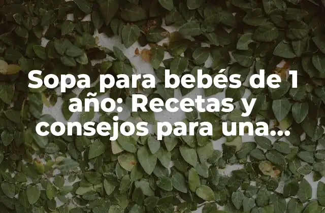 Sopa para Bebés de 1 Año: Recetas y Consejos para una Alimentación Saludable