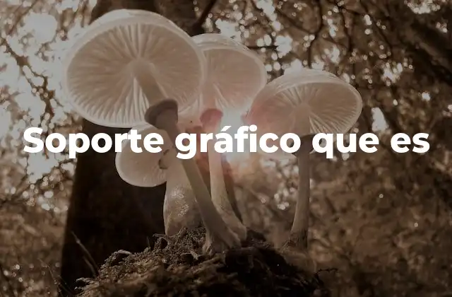 Soporte Gráfico que es