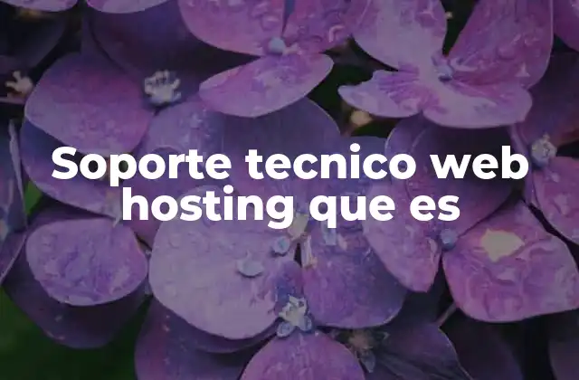Soporte Tecnico Web Hosting que es