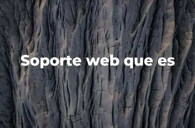 Soporte Web que es